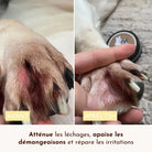 Baume Miraculeux DEXTER & MANGO