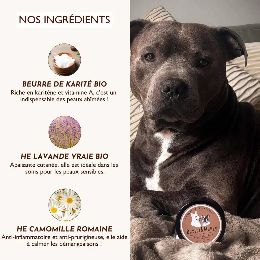 Baume Miraculeux DEXTER & MANGO