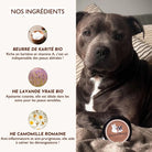 Baume Miraculeux DEXTER & MANGO