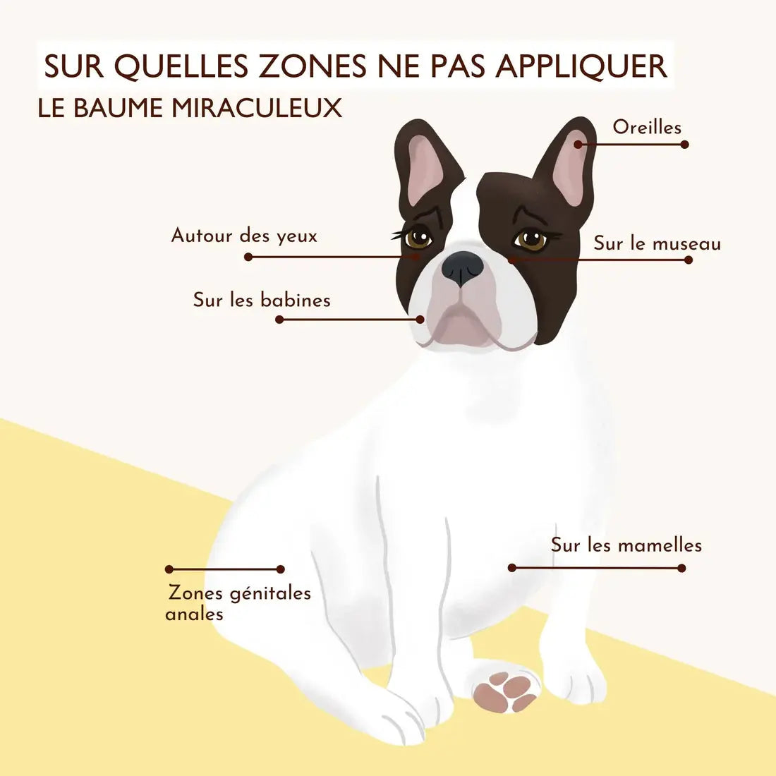 Baume Miraculeux DEXTER & MANGO