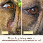 Baume Peau de Pêche DEXTER & MANGO