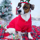 Biscuits de Noël pour chien - Christmas Balls - Cooka's Cookies COOKA'S COOKIES