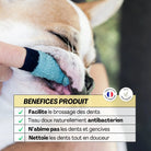 Brosse a dent –  eco-responsable DEXTER & MANGO