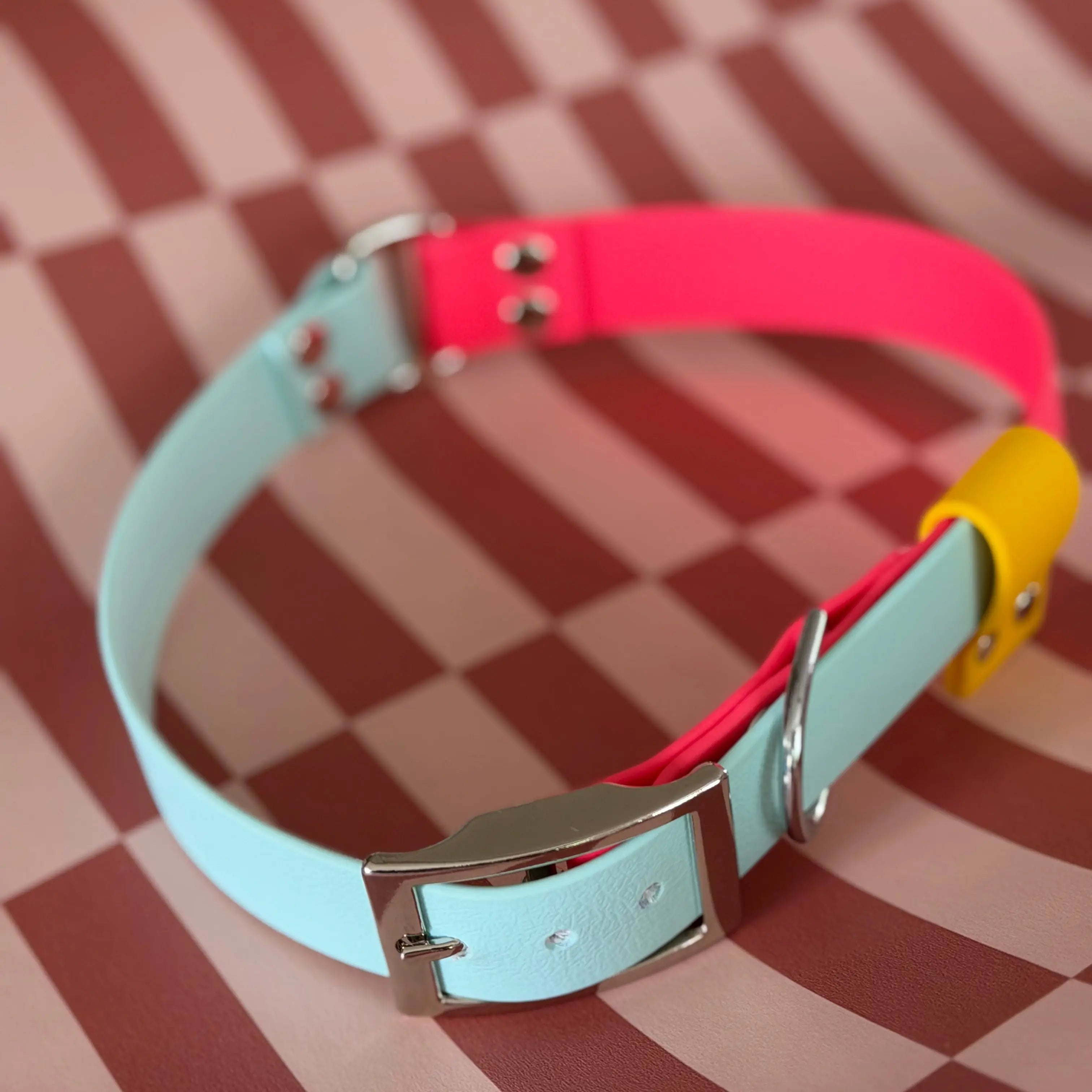 Collier Personnalisé Bicolore en TPU DOG & CAT ETOILES