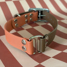 Collier Personnalisé Bicolore en TPU DOG & CAT ETOILES