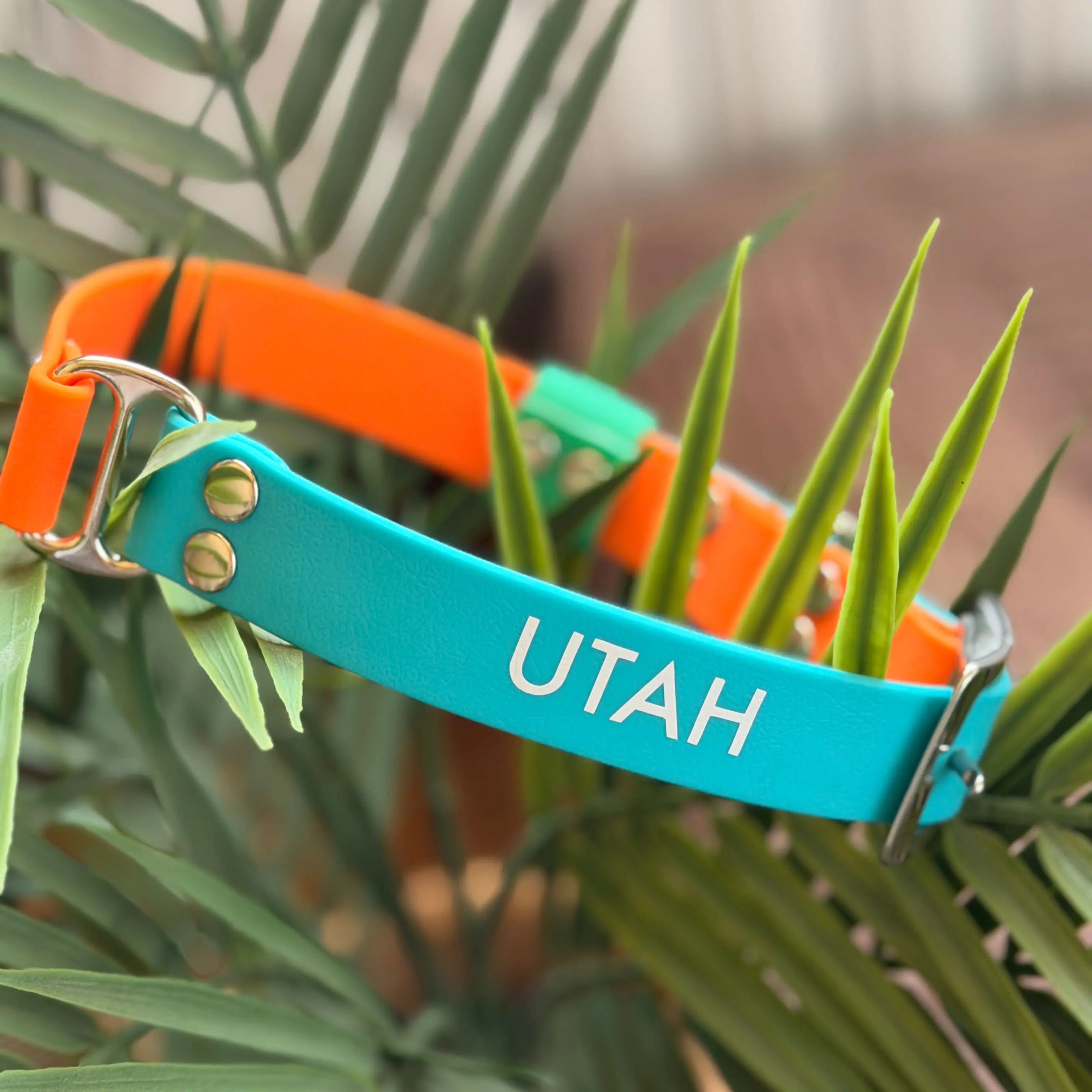 Collier Personnalisé bicolore en PAWTEX DOG & CAT ETOILES