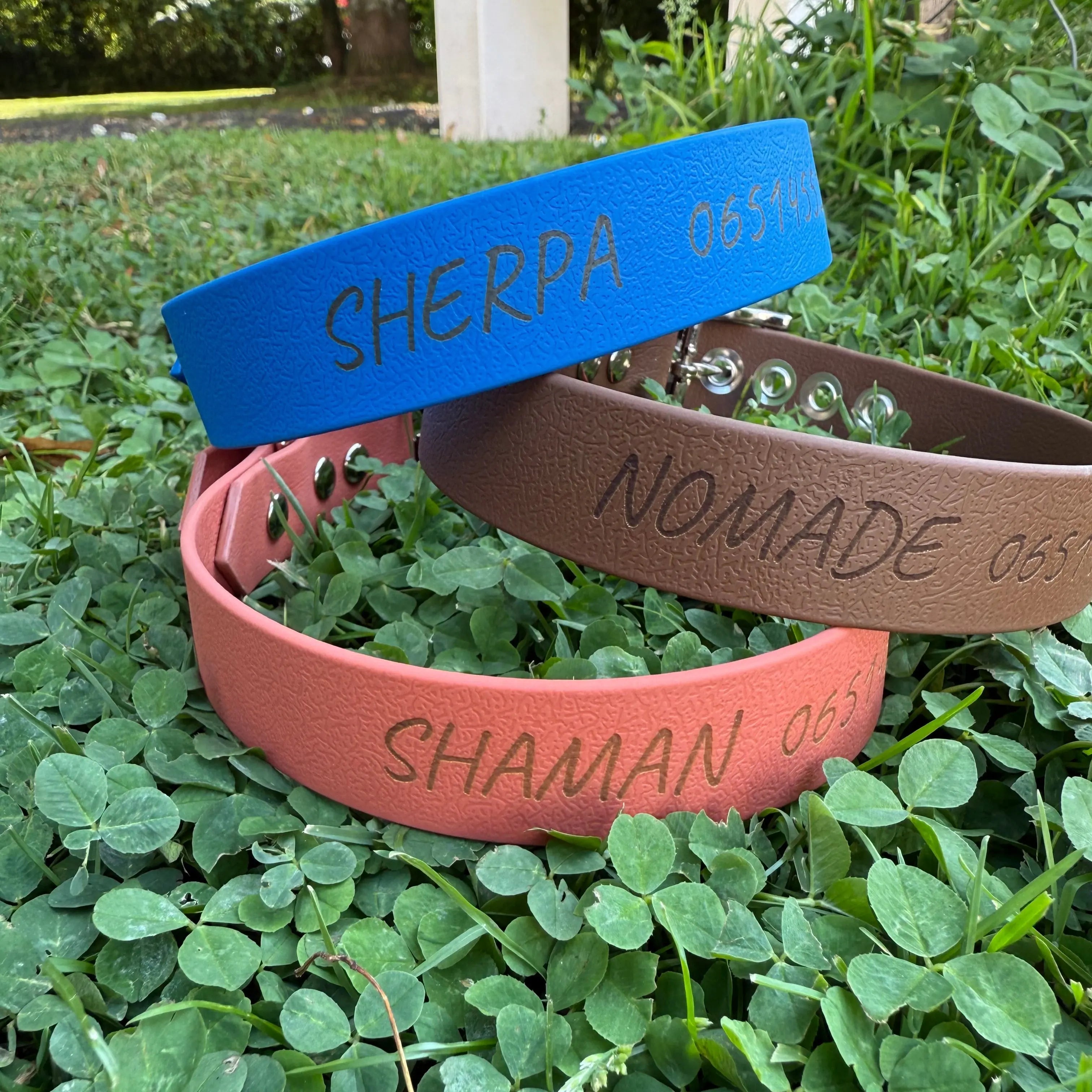 Collier Personnalisé en Biothane DOG & CAT ETOILES
