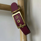 Collier Personnalisé en PAWTEX DOG & CAT ETOILES