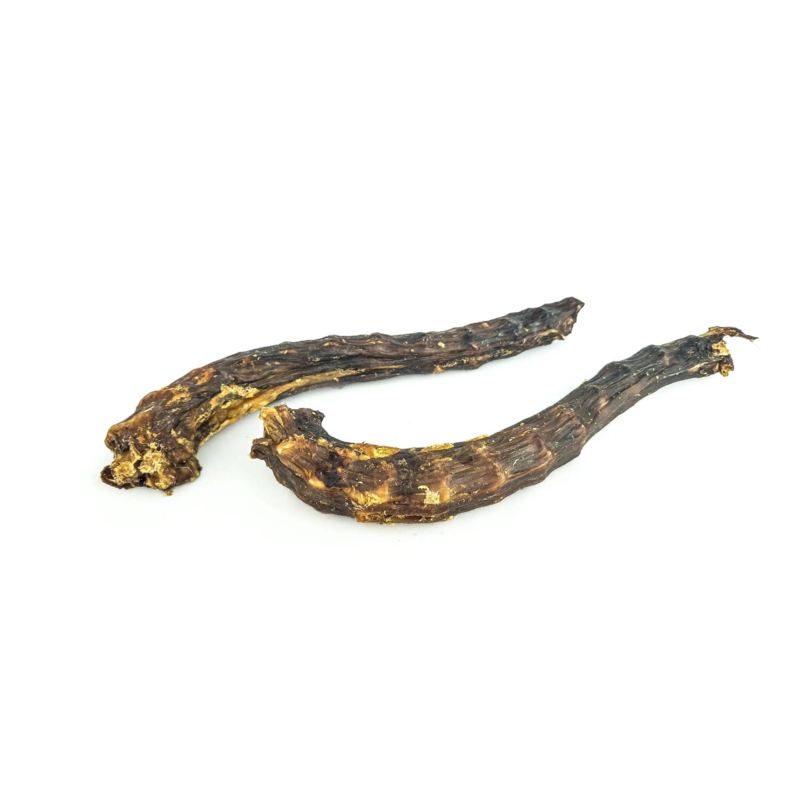 Cou de d'oie DOG & CAT ETOILES