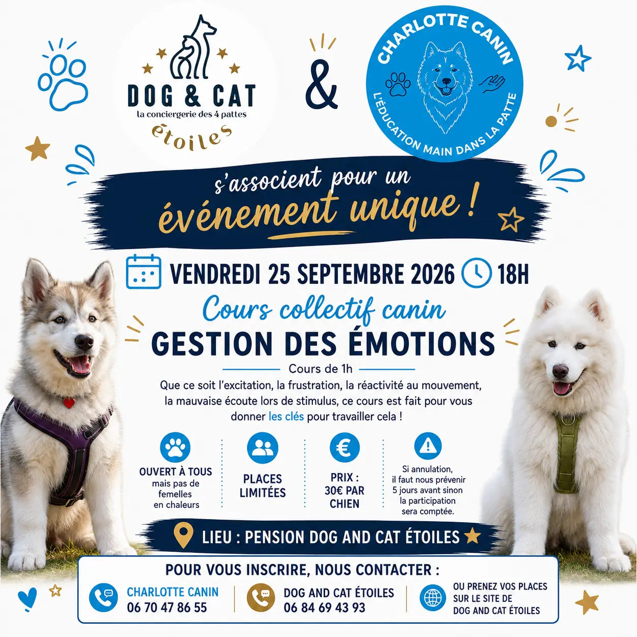 Cours collectif - Gestion des émotions - 25 Sept à 18h DOG & CAT ETOILES