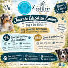 Cours collectif - Prédation - Samedi 7 Novembre (Copie) DOG & CAT ETOILES