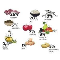 Croquettes chien – Agneau  Maxi – 12kg – GOSBI exclusive FARMINA