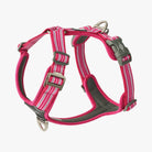 DOG COPENHAGEN - Harnais Comfort Walk Air DOG COPENHAGEN