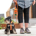 DOG COPENHAGEN - Harnais Comfort Walk Air DOG COPENHAGEN