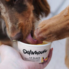 Delamour - Glace La Vitaminée DELAMOUR