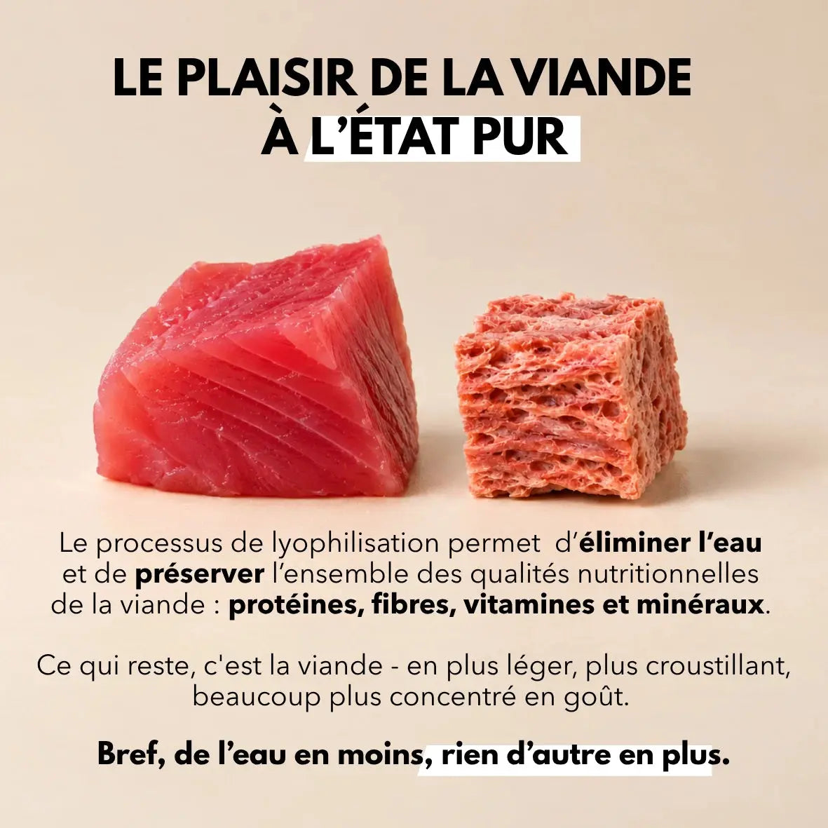 Delamour - Les Lyophilisées au Thon – Friandises 100 % Naturelles pour Chien et Chat DELAMOUR