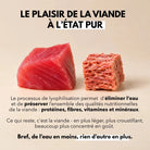 Delamour - Les Lyophilisées au Thon – Friandises 100 % Naturelles pour Chien et Chat DELAMOUR