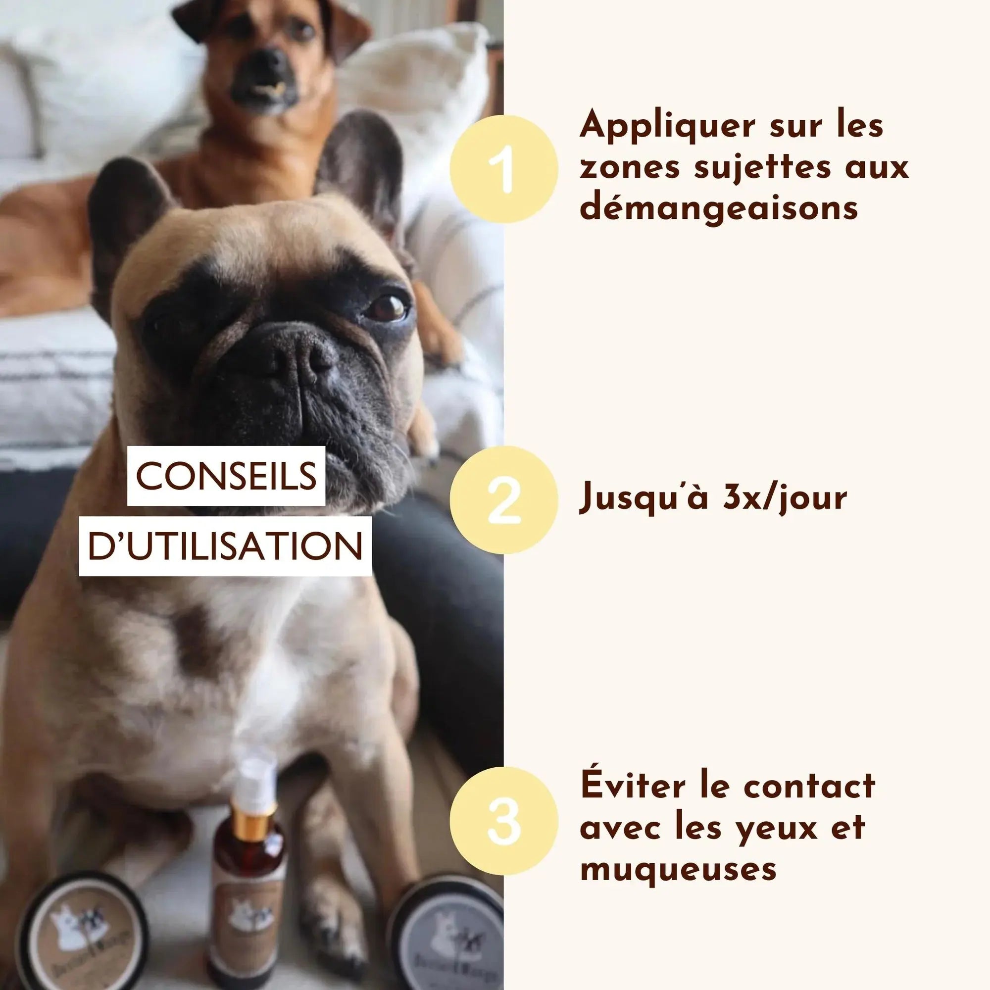 Démangeaison chien - l'eau miraculeuse DEXTER & MANGO
