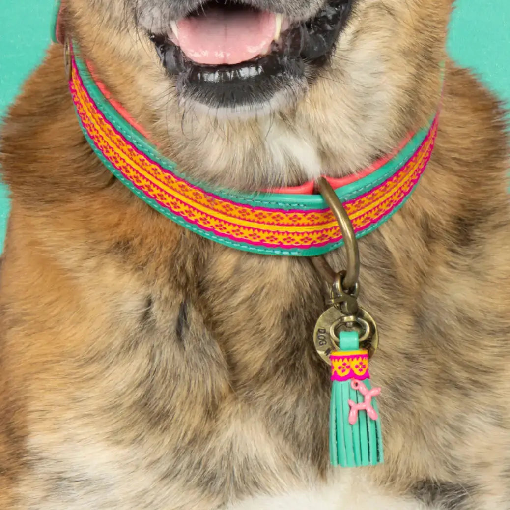 Dog with a Mission - Collier Maui DOG WITH A MISSION