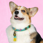 Dog with a Mission - Collier flamant rose DOG WITH A MISSION