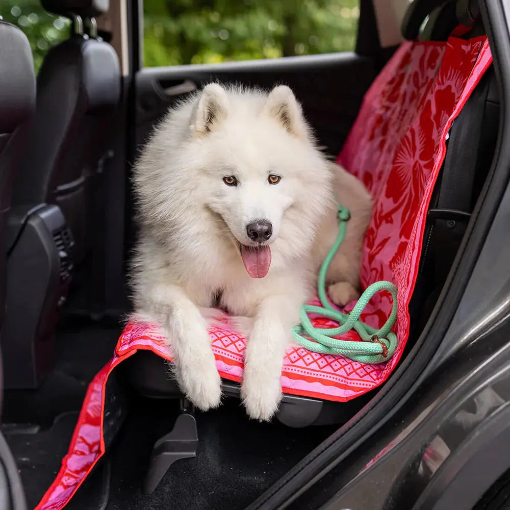 Dog with a Mission - Protection voiture DOG WITH A MISSION