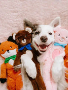 Duo de peluches pour chien - Ours et Renard - Zippy Paws ZIPPYPAWS