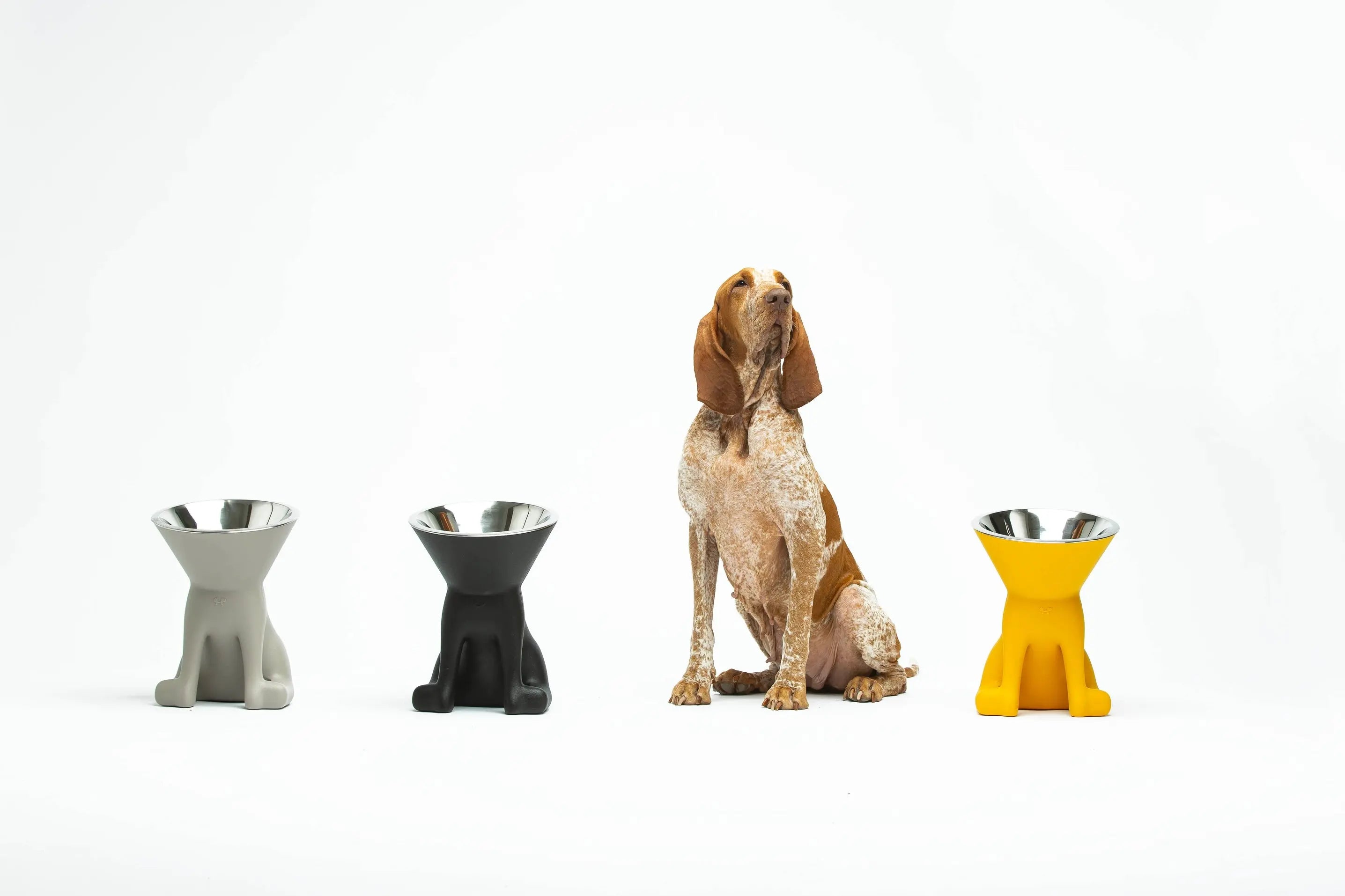 Elizabeth – Gamelle surélevée pour chiens INOOKO