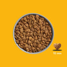 FRED & FELIA - Croquettes chat  Premium au Poulet FRED & FELIA