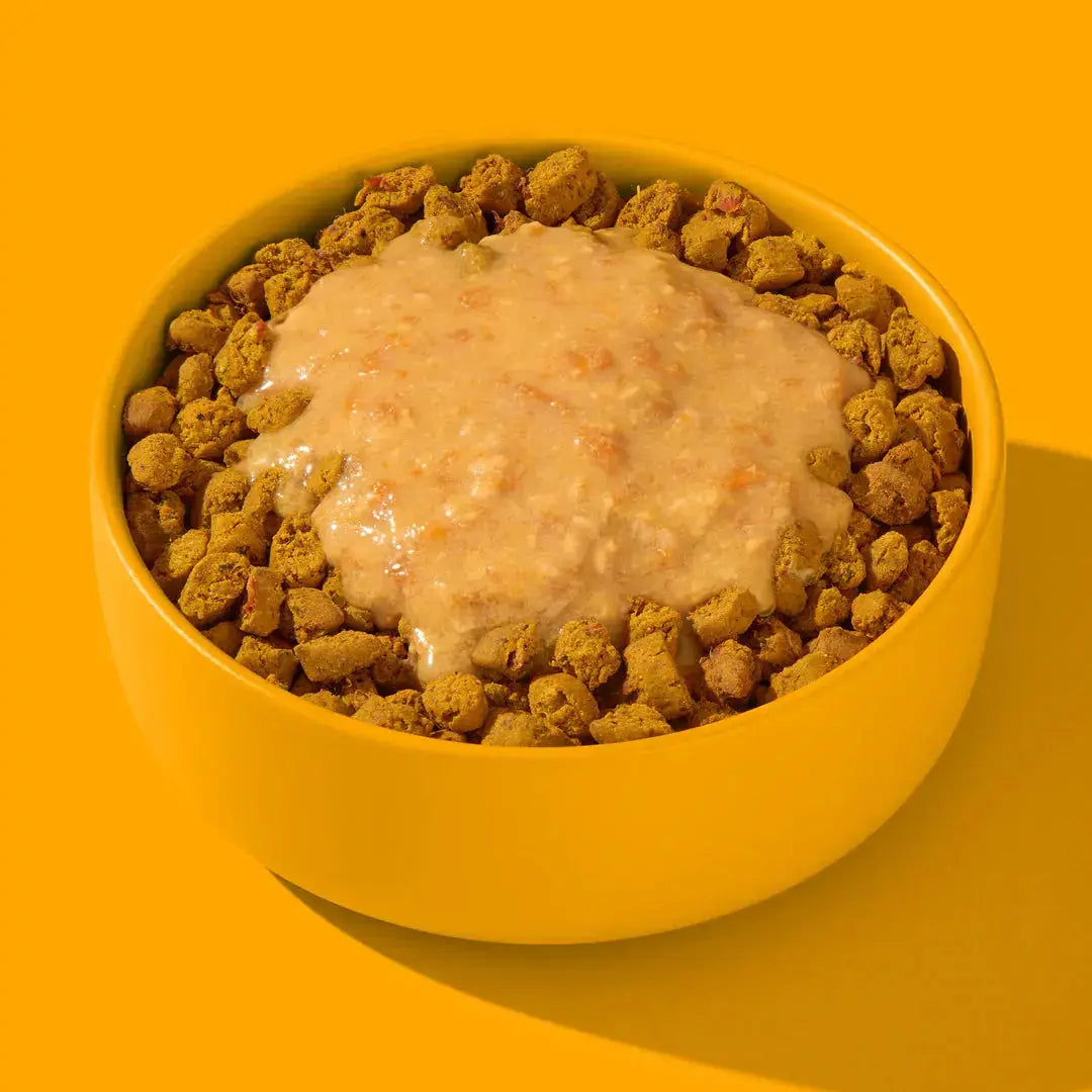 FRED & FELIA - Smoothie de Poulet au curcuma FRED & FELIA