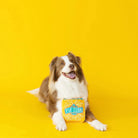 FRINGE - Jouet Chien - Pup corn FRINGE