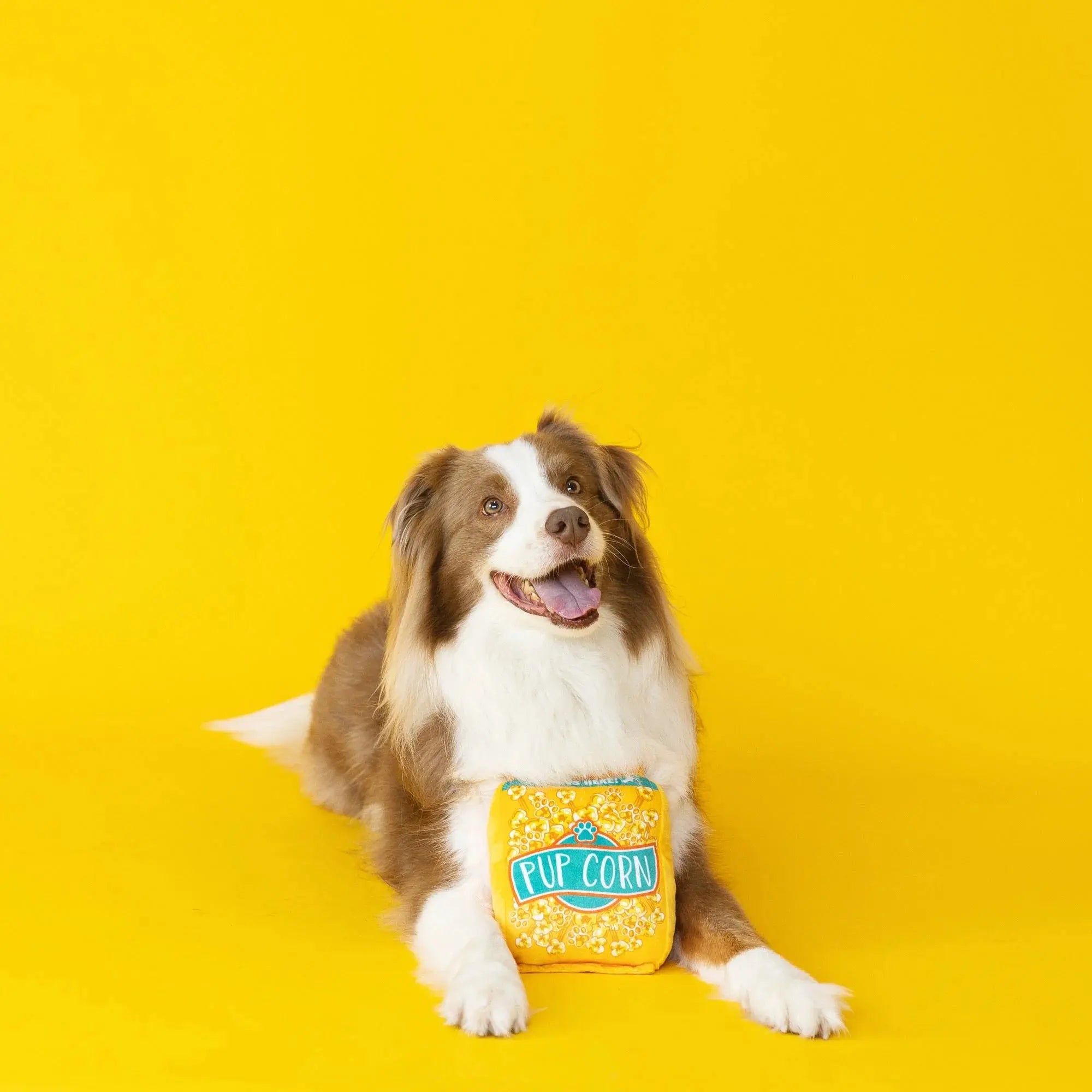 FRINGE - Jouet Chien - Pup corn FRINGE