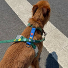 FUREI - Charms pour colliers et laisses FUREI PETS