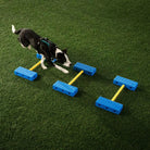 FitPAWS FitKinect Core – Système de fitness & rééducation chien FITPAWS