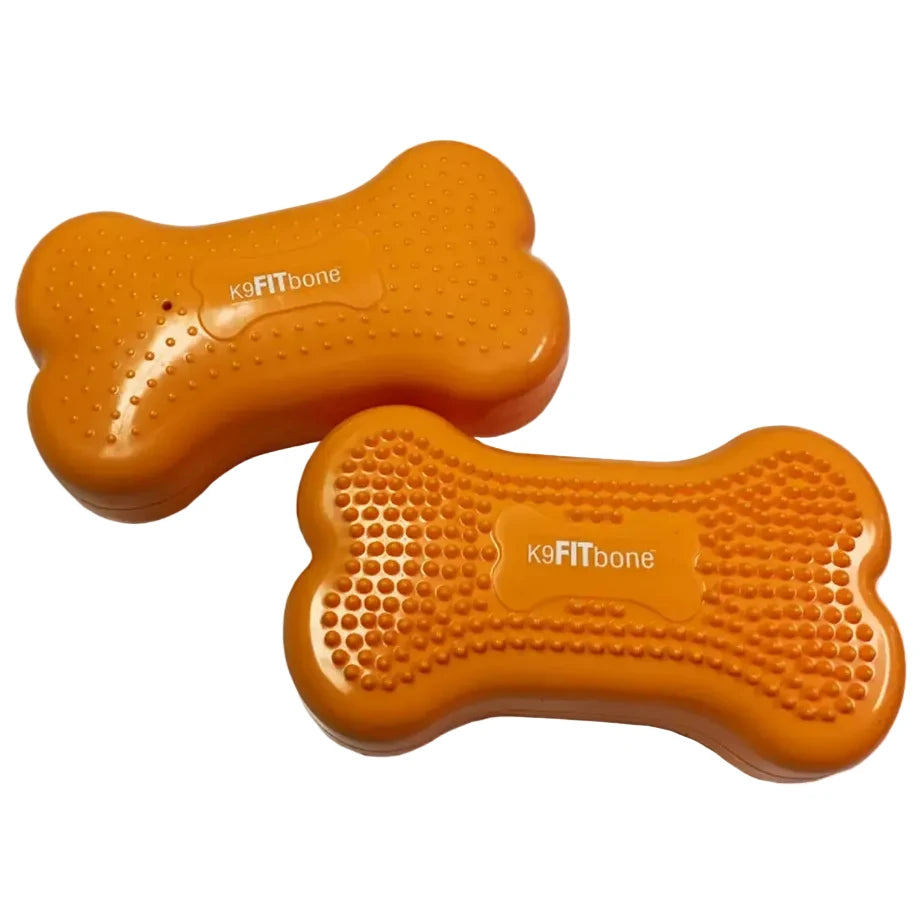 FitPaws Bone Mini – Set de 2  – Plateformes de fitness chien FITPAWS