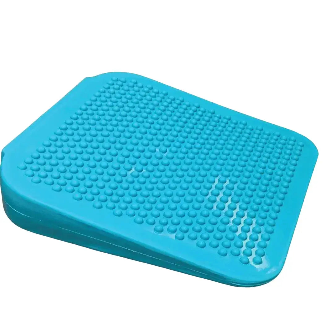 FitPaws Dog Balance Ramp – Rampe d’équilibre pour chien FITPAWS