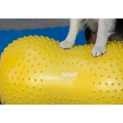 FitPaws Peanut TRAX – Ballon fitness & équilibre pour chien FITPAWS