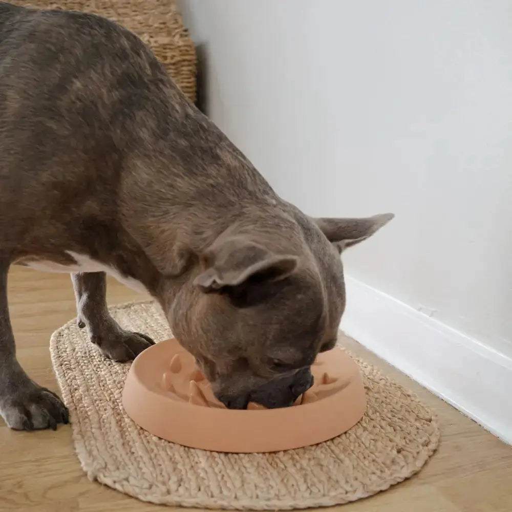 Gamelle slow feeder MARTIN