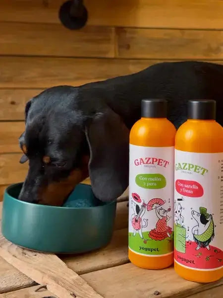 Gaspacho pour chien et chat - Melon Poire - Yogupet YOGUPET