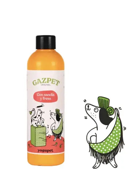 Gaspacho pour chien et chat - Melon Poire - Yogupet YOGUPET