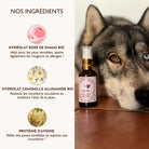 Gelée Nettoyante – Œil de Biche DEXTER & MANGO