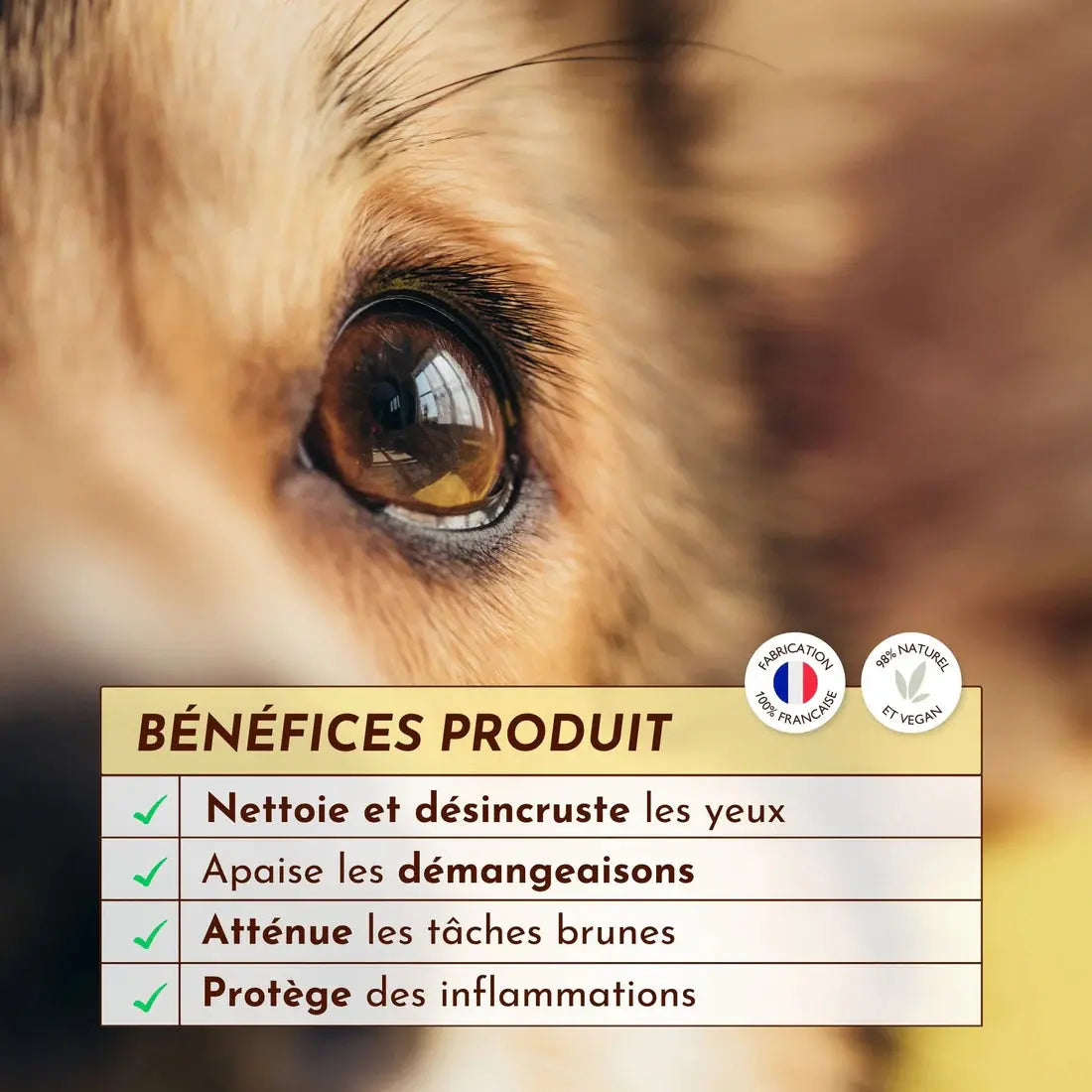 Gelée Nettoyante – Œil de Biche DEXTER & MANGO