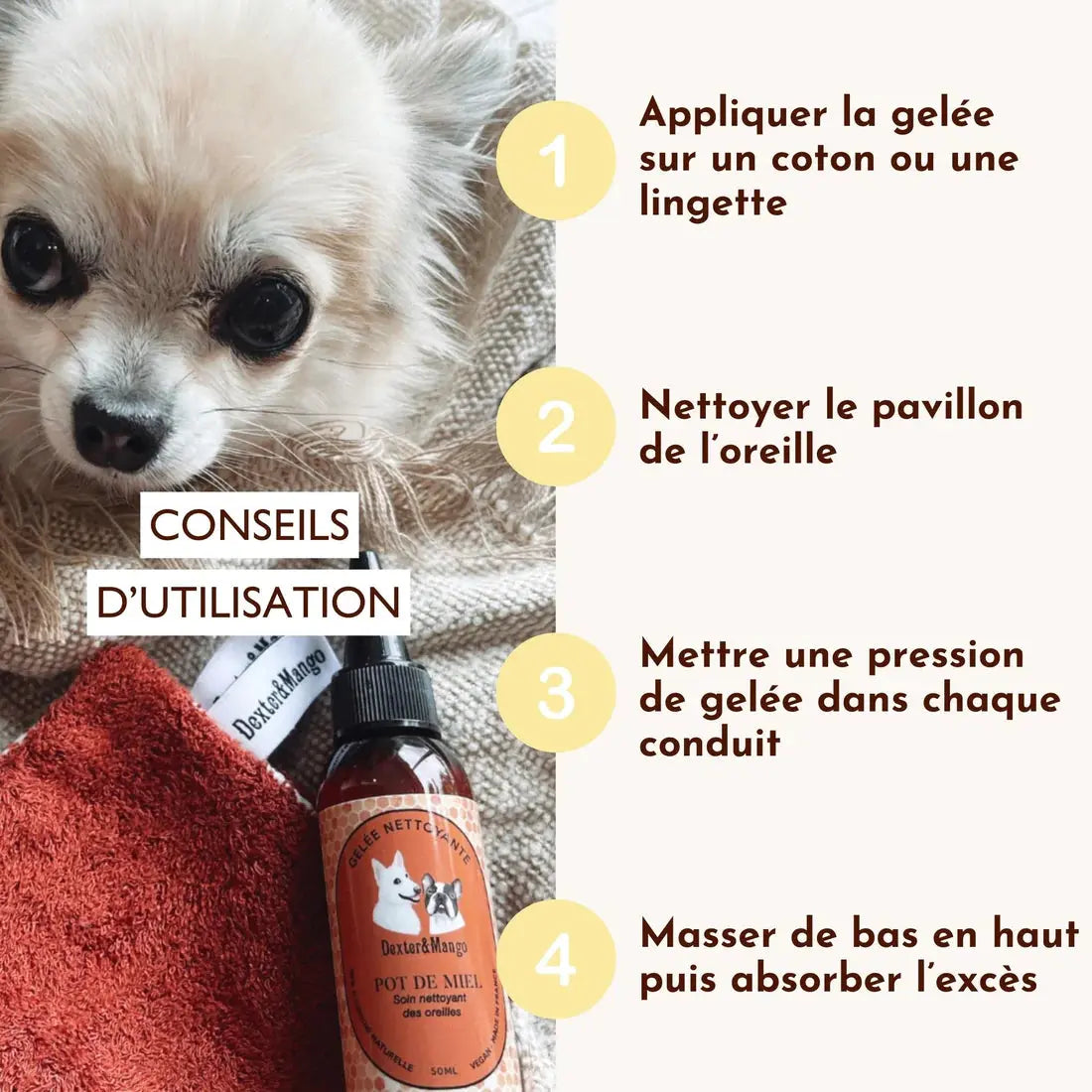 Gelée nettoyante – Pot de miel DEXTER & MANGO