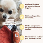 Gelée nettoyante – Pot de miel DEXTER & MANGO