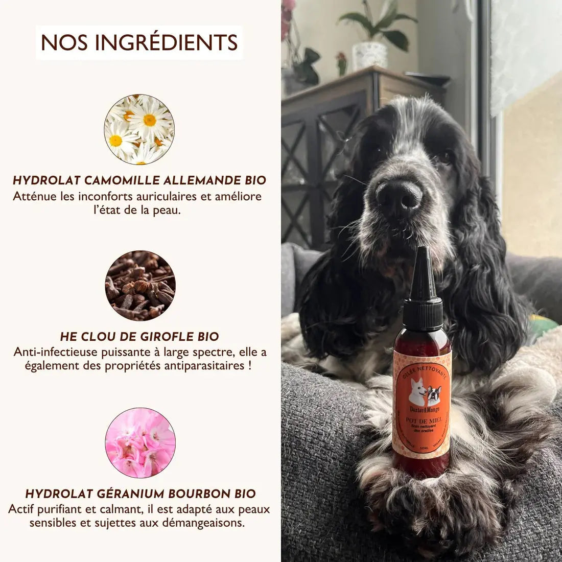 Gelée nettoyante – Pot de miel DEXTER & MANGO