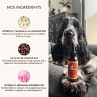 Gelée nettoyante – Pot de miel DEXTER & MANGO