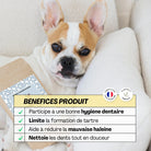 Hygiène dentaire du chien et du chat –  L'aliment complémentaire Quenotte – DEXTER & MANGO