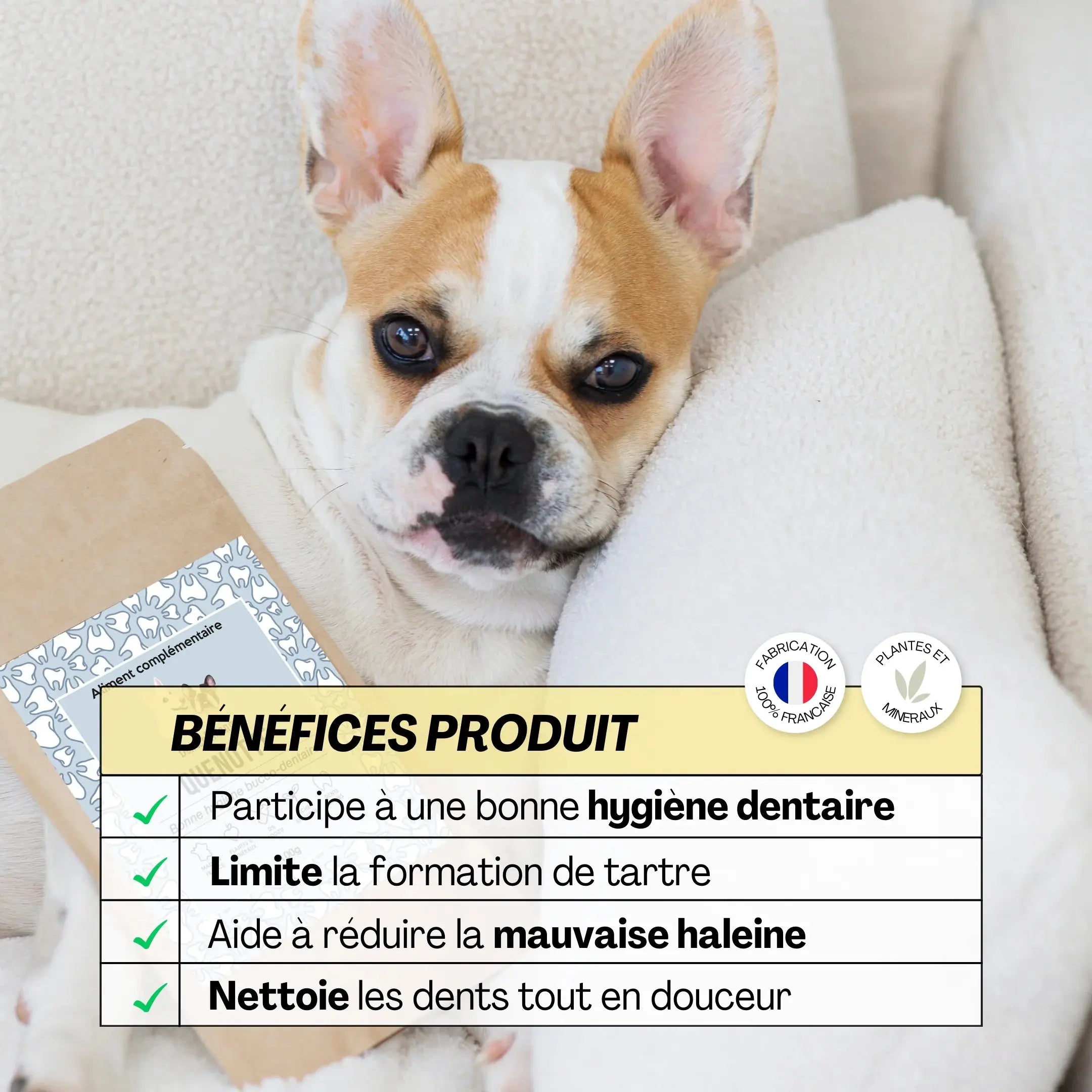 Hygiène dentaire du chien et du chat –  L'aliment complémentaire Quenotte – DEXTER & MANGO