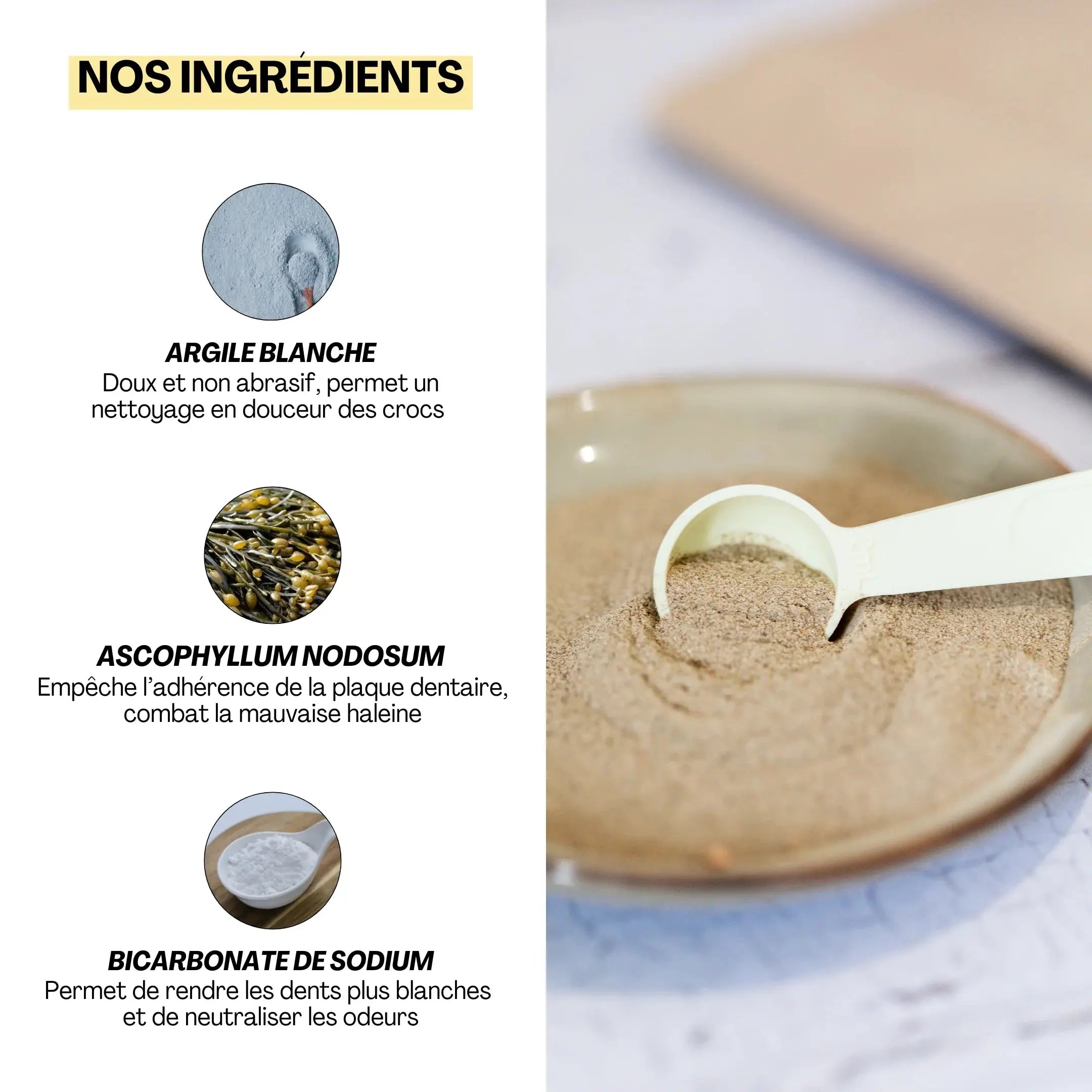 Hygiène dentaire du chien et du chat –  L'aliment complémentaire Quenotte – DEXTER & MANGO