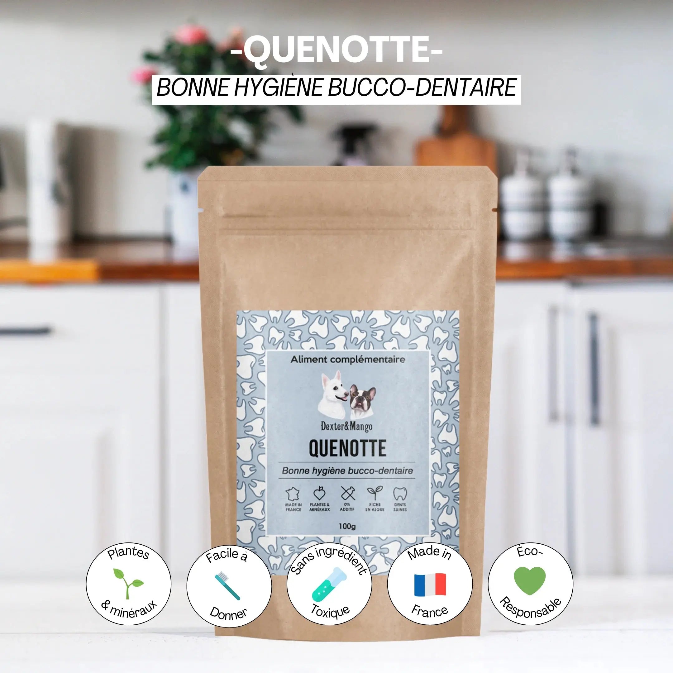 Hygiène dentaire du chien et du chat –  L'aliment complémentaire Quenotte – DEXTER & MANGO