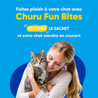 INABA  CIAO - Churu Fun Bites INABA CIAO